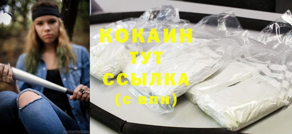 дживик Вязьма