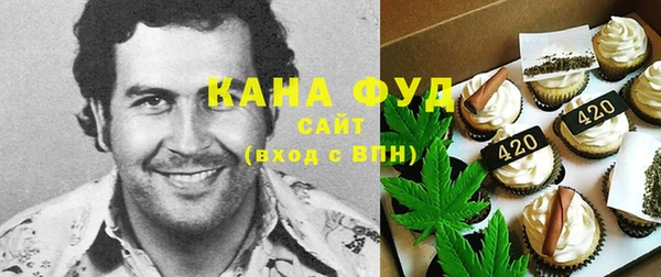 дживик Вязьма