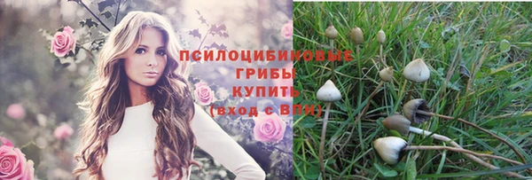кристаллы Вязники