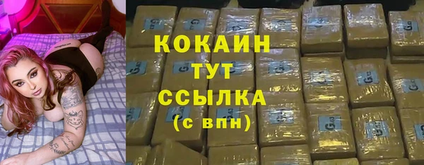 дживик Вязьма