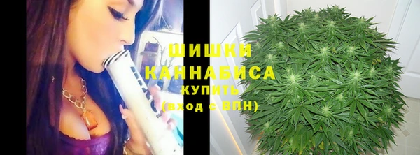 2c-b Вяземский